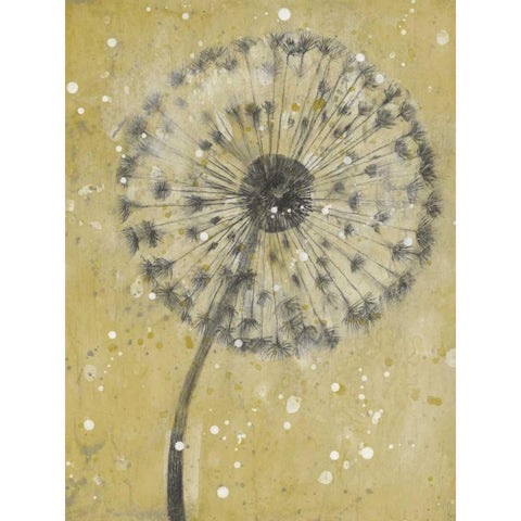 Dandelion Abstract I Black Modern Wood Framed Art Print with Double Matting by OToole, Tim