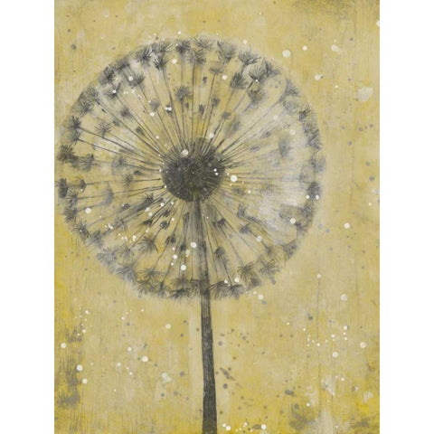 Dandelion Abstract II Black Modern Wood Framed Art Print with Double Matting by OToole, Tim