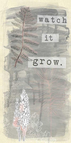 Garden Scrapbook VI Black Ornate Wood Framed Art Print with Double Matting by Vess, June Erica