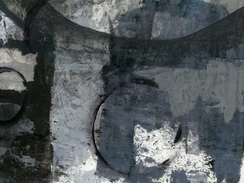 Shades of Grey V Black Ornate Wood Framed Art Print with Double Matting by Ray, Elena