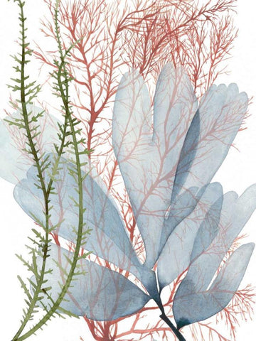 Seaweed Flow I White Modern Wood Framed Art Print with Double Matting by Popp, Grace