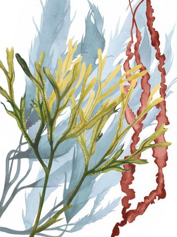 Seaweed Flow II White Modern Wood Framed Art Print with Double Matting by Popp, Grace