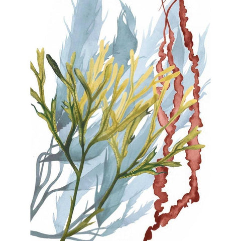 Seaweed Flow II Black Modern Wood Framed Art Print by Popp, Grace