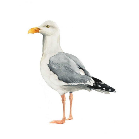 Sea Bird II White Modern Wood Framed Art Print by Popp, Grace