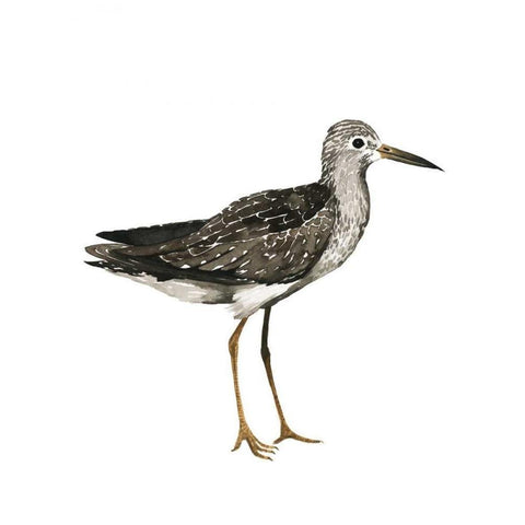 Sea Bird III White Modern Wood Framed Art Print by Popp, Grace