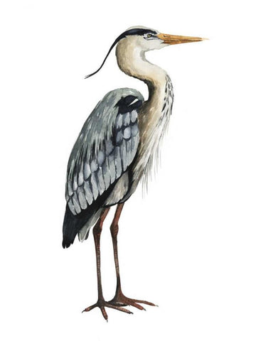 Sea Bird V Black Ornate Wood Framed Art Print with Double Matting by Popp, Grace