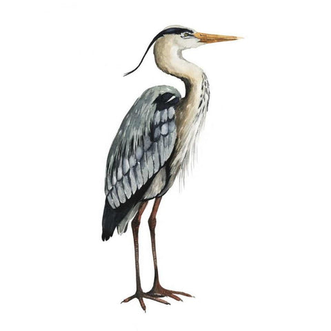 Sea Bird V Black Modern Wood Framed Art Print by Popp, Grace