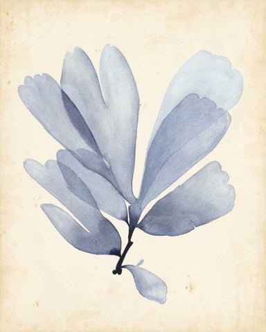 Watercolor Sea Grass II Black Ornate Wood Framed Art Print with Double Matting by Popp, Grace