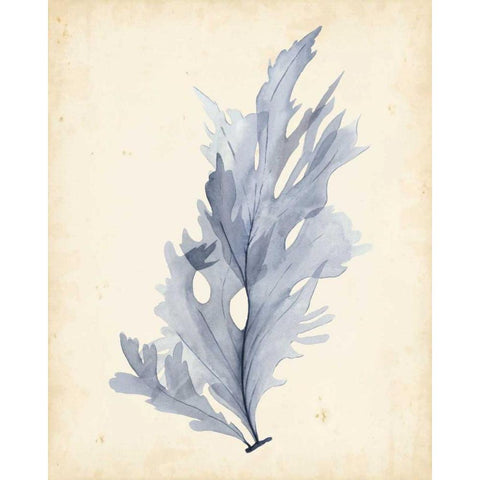 Watercolor Sea Grass VI Black Modern Wood Framed Art Print with Double Matting by Popp, Grace