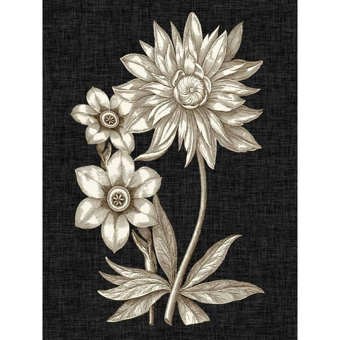 Dramatic Chintz I Black Modern Wood Framed Art Print by Vision Studio