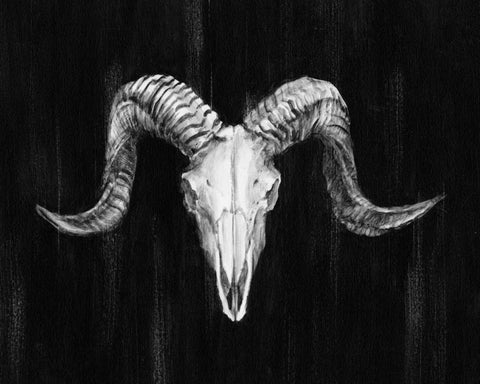 Rustic Ram Mount I White Modern Wood Framed Art Print with Double Matting by Harper, Ethan