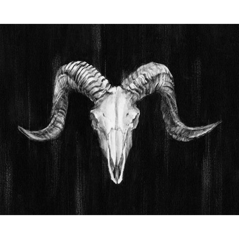 Rustic Ram Mount I Black Modern Wood Framed Art Print by Harper, Ethan