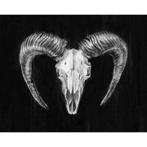 Rustic Ram Mount II Black Modern Wood Framed Art Print by Harper, Ethan