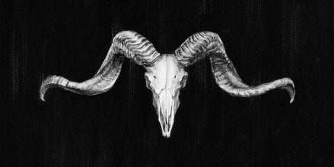 Rustic Ram Mount III White Modern Wood Framed Art Print with Double Matting by Harper, Ethan