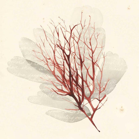 Vivid Algae II Black Modern Wood Framed Art Print with Double Matting by Popp, Grace