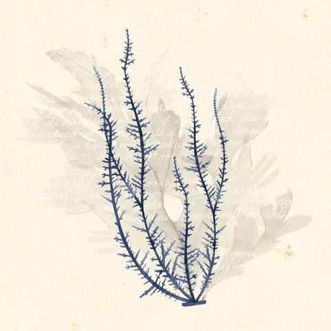 Vivid Algae III Black Modern Wood Framed Art Print by Popp, Grace