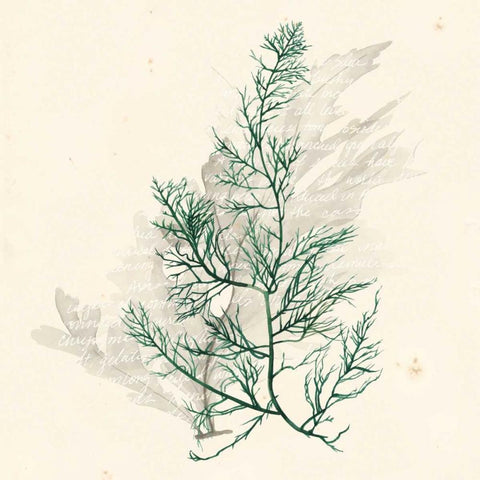 Vivid Algae IV Black Modern Wood Framed Art Print by Popp, Grace