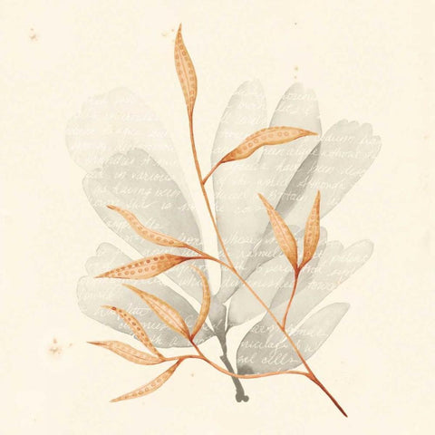 Vivid Algae V Black Modern Wood Framed Art Print by Popp, Grace