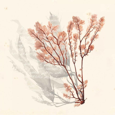 Vivid Algae VI Gold Ornate Wood Framed Art Print with Double Matting by Popp, Grace