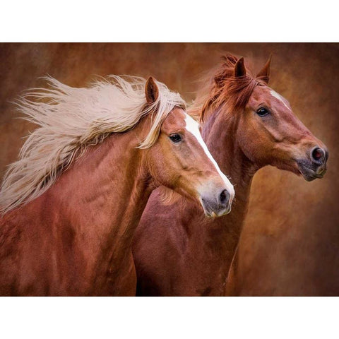 Purebred I Black Modern Wood Framed Art Print by Sturgeon, Ozana