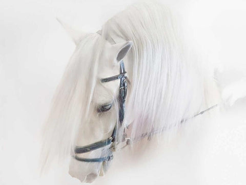 Purebred III Black Ornate Wood Framed Art Print with Double Matting by Sturgeon, Ozana