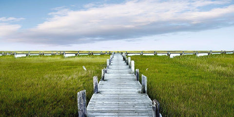 Infinite Pier White Modern Wood Framed Art Print with Double Matting by McLoughlin, James