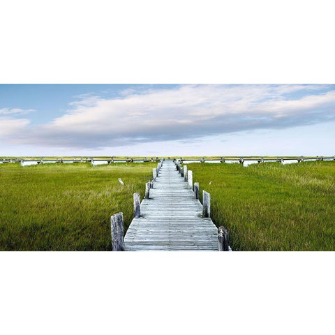 Infinite Pier White Modern Wood Framed Art Print by McLoughlin, James