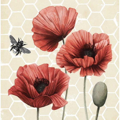 Poppy Buzz I Gold Ornate Wood Framed Art Print with Double Matting by Popp, Grace