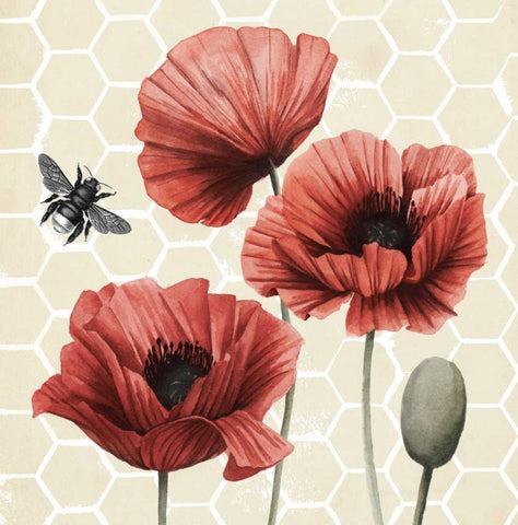 Poppy Buzz I White Modern Wood Framed Art Print with Double Matting by Popp, Grace
