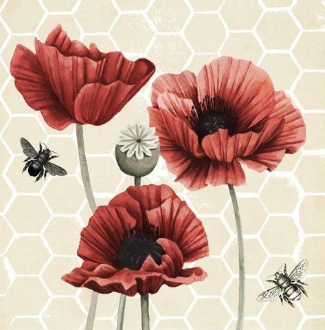 Poppy Buzz II White Modern Wood Framed Art Print with Double Matting by Popp, Grace