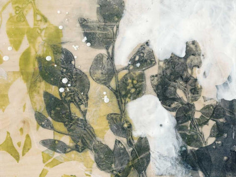 Leaf Spray I White Modern Wood Framed Art Print with Double Matting by Goldberger, Jennifer