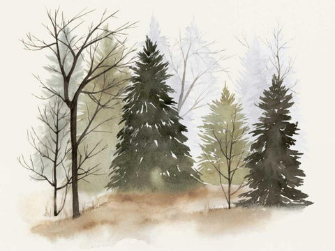 In the Mist II White Modern Wood Framed Art Print with Double Matting by Popp, Grace