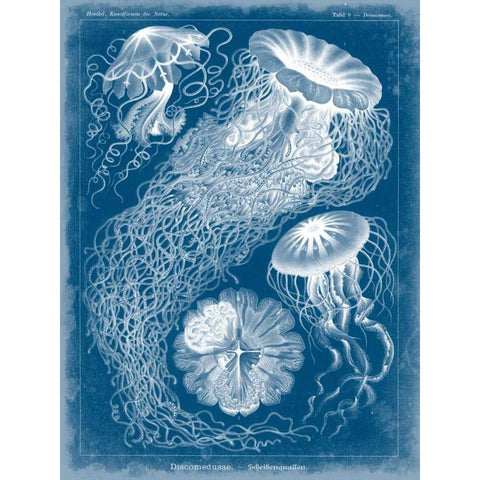 Marine Blueprint II Black Modern Wood Framed Art Print with Double Matting by Vision Studio