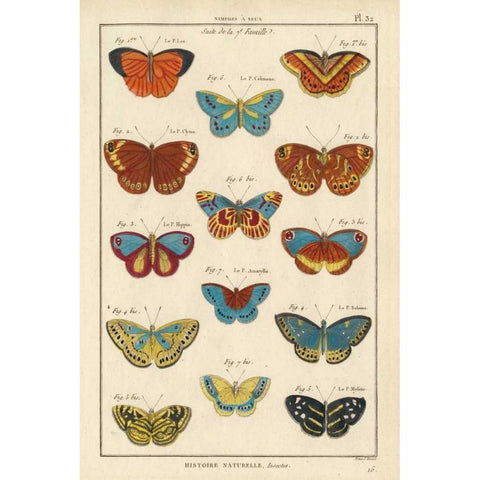 Histoire Naturelle Butterflies I White Modern Wood Framed Art Print by Unknown