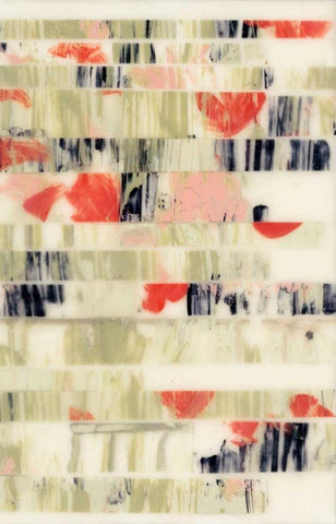 Poppy Obscura II White Modern Wood Framed Art Print with Double Matting by Goldberger, Jennifer