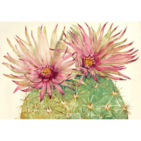 Cactus Blossoms I Gold Ornate Wood Framed Art Print with Double Matting by OToole, Tim