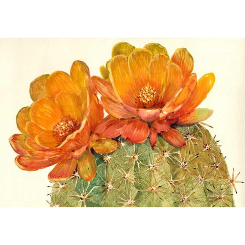 Cactus Blossoms II Black Modern Wood Framed Art Print with Double Matting by OToole, Tim