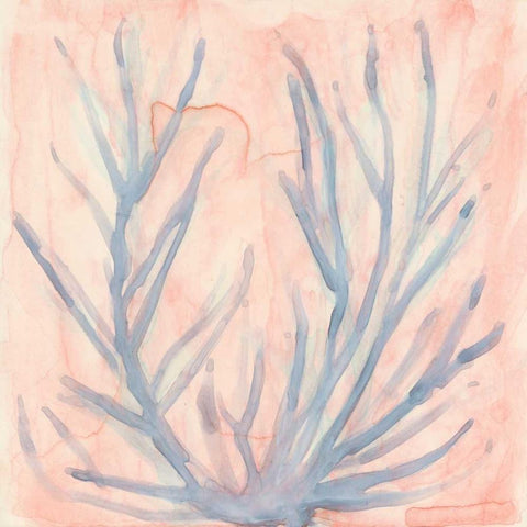 Tinted Algae I White Modern Wood Framed Art Print with Double Matting by Stramel, Renee W.