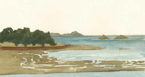 Spa Coastline I Black Ornate Wood Framed Art Print with Double Matting by Miller, Dianne