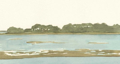 Spa Coastline II Black Ornate Wood Framed Art Print with Double Matting by Miller, Dianne