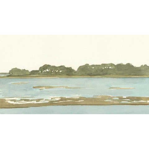 Spa Coastline II Gold Ornate Wood Framed Art Print with Double Matting by Miller, Dianne