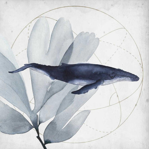 Love of the Sea I Black Modern Wood Framed Art Print with Double Matting by Popp, Grace