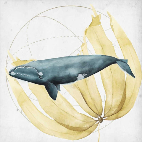 Love of the Sea II White Modern Wood Framed Art Print with Double Matting by Popp, Grace