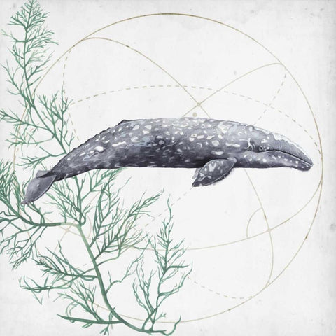 Love of the Sea III Black Modern Wood Framed Art Print with Double Matting by Popp, Grace