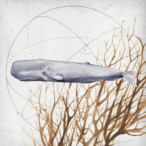 Love of the Sea IV Black Modern Wood Framed Art Print by Popp, Grace