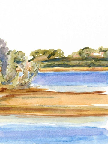 The Sound II Black Ornate Wood Framed Art Print with Double Matting by Miller, Dianne