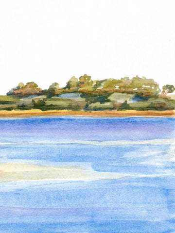 The Sound IV Black Ornate Wood Framed Art Print with Double Matting by Miller, Dianne