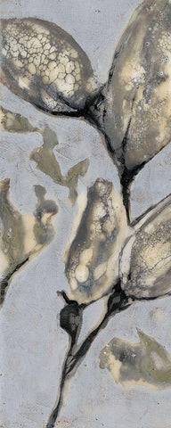 Custom Flower Bud Triptych I (ASH) White Modern Wood Framed Art Print with Double Matting by Goldberger, Jennifer