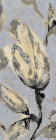 Custom Flower Bud Triptych III (ASH) White Modern Wood Framed Art Print with Double Matting by Goldberger, Jennifer