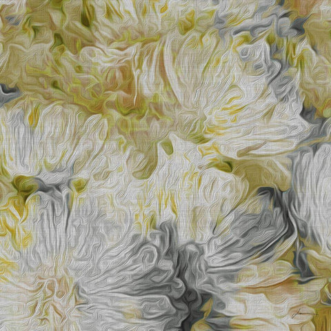 Custom Mums in Sun I (ASH) Black Modern Wood Framed Art Print by Burghardt, James